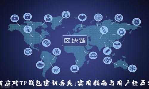 如何应对TP钱包密钥丢失:实用指南与用户经历分享