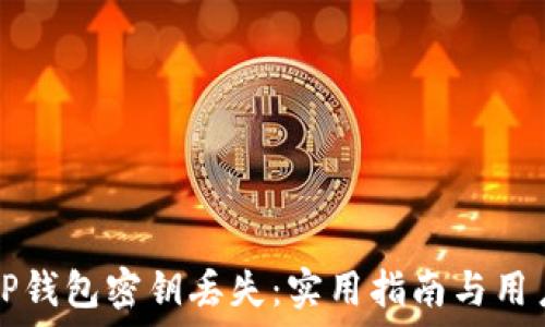 如何应对TP钱包密钥丢失:实用指南与用户经历分享