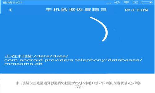 iTP钱包密码找回指南：一步步教你重拾资产安全