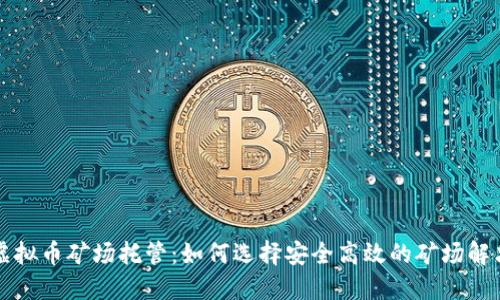 郑州虚拟币矿场托管:如何选择安全高效的矿场解决方案