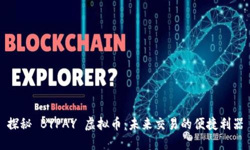 探秘 BYPAY 虚拟币:未来交易的便捷利器