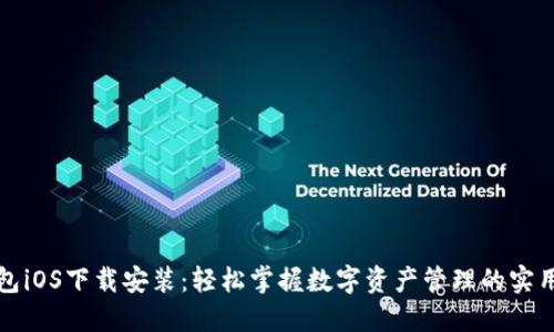 TP钱包iOS下载安装:轻松掌握数字资产管理的实用指南