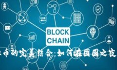 元宵节与虚拟币的完美结合：如何在团圆之夜开