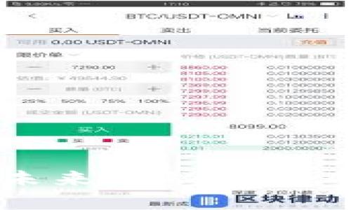 解密虚拟币BSJ:未来金融的实用价值与投资潜力
