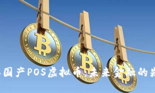 2023年国产POS虚拟币:未来金融的先锋力量