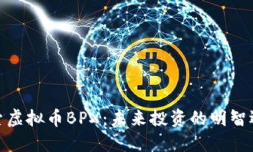 探索虚拟币BPX:未来投资的明智选择