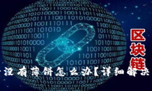 TP钱包新下载后没有薄饼怎么办?详细解决方案与实用技巧