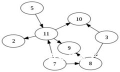 库里虚拟币：体育与数字资产的完美结合