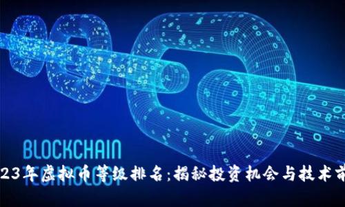 2023年虚拟币等级排名:揭秘投资机会与技术前景