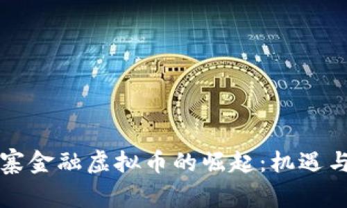 柬埔寨金融虚拟币的崛起:机遇与挑战