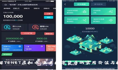 深入了解TENET虚拟币：未来数字货币的实用价值与投资潜力