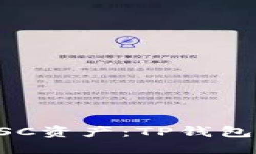 轻松管理BSC资产:TP钱包下载全指南