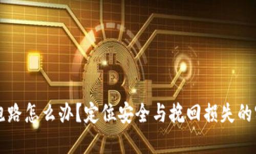 虚拟币跑路怎么办?定位安全与挽回损失的实用指南