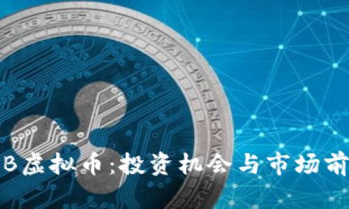 揭秘SJB虚拟币:投资机会与市场前景分析