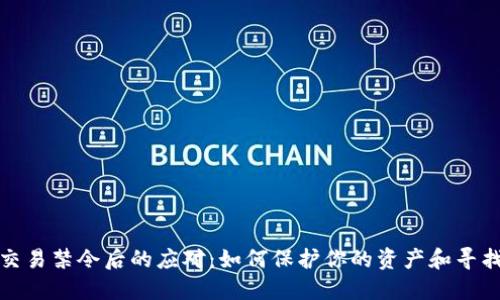 虚拟币交易禁令后的应对：如何保护你的资产和寻找新机会