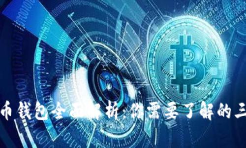 : 虚拟币钱包全面解析：你需要了解的三大分类
