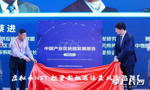 虚拟币NST:投资新机遇还是风险陷阱?