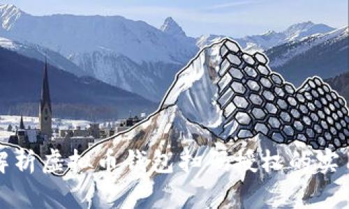 全面解析虚拟币钱包扫码授权的实用技巧