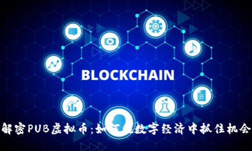 解密PUB虚拟币:如何在数字经济中抓住机会
