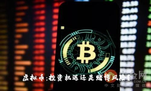 虚拟币：投资机遇还是赌博风险？