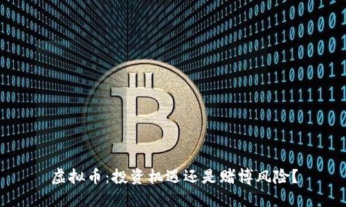 虚拟币：投资机遇还是赌博风险？