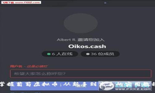掌握葡萄虚拟币:从新手到高手的实用教程
