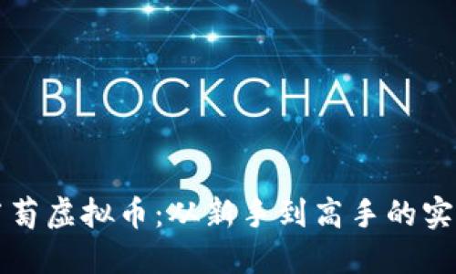 掌握葡萄虚拟币:从新手到高手的实用教程