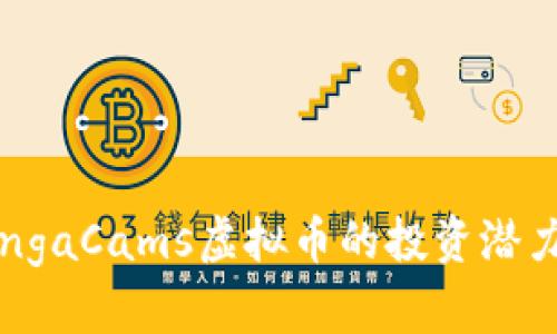 深入了解BongaCams虚拟币的投资潜力与使用价值