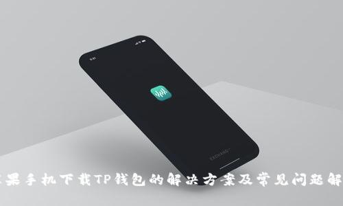 苹果手机下载TP钱包的解决方案及常见问题解析