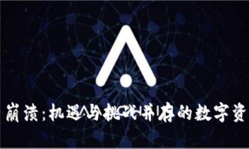 虚拟币崩溃:机遇与挑战并存的数字资产时代