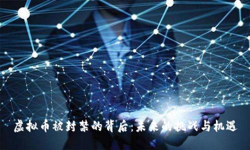虚拟币被封禁的背后：未来的挑战与机遇