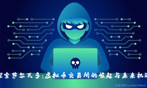 探索萨尔瓦多：虚拟币交易所的崛起与未来机遇