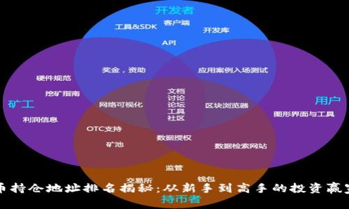 虚拟币持仓地址排名揭秘：从新手到高手的投资赢家之路