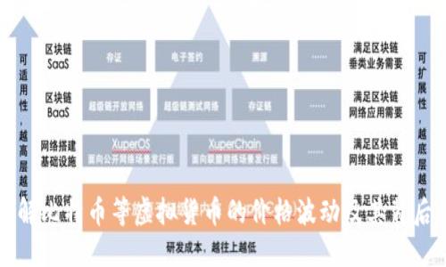 深入了解比特币等虚拟货币的价格波动及其背后的原因