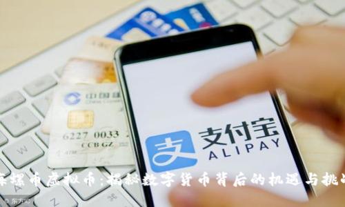 海螺币虚拟币：揭秘数字货币背后的机遇与挑战