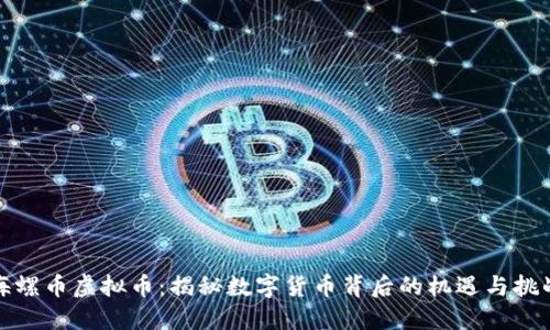 海螺币虚拟币：揭秘数字货币背后的机遇与挑战