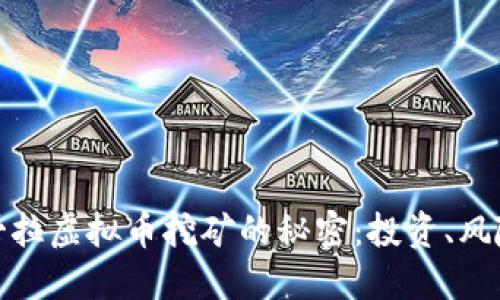 揭开安哥拉虚拟币挖矿的秘密：投资、风险与机遇