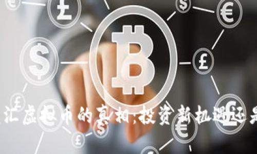   探索玖龙汇虚拟币的真相：投资新机遇还是虚拟泡沫？