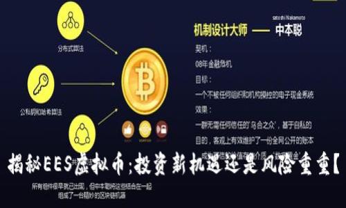 揭秘EES虚拟币：投资新机遇还是风险重重？