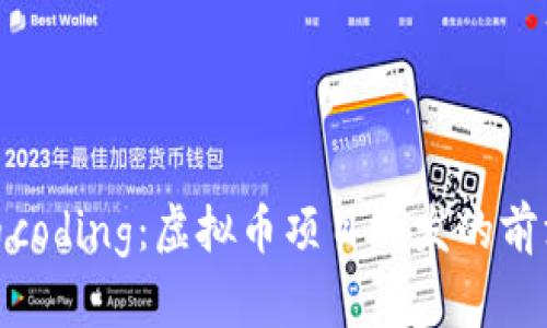 探索币coding：虚拟币项目研发的前沿之旅