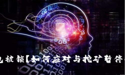 虚拟币钱包被锁？如何应对与挖矿暂停的实用指南