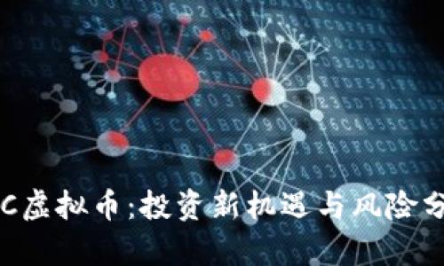 GIC虚拟币：投资新机遇与风险分析