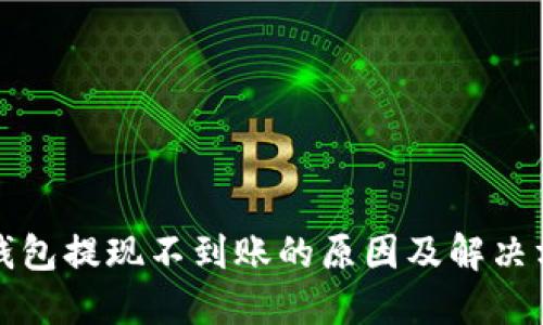 TP钱包提现不到账的原因及解决方案