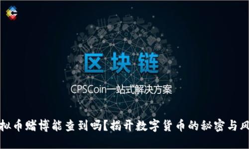 虚拟币赌博能查到吗?揭开数字货币的秘密与风险
